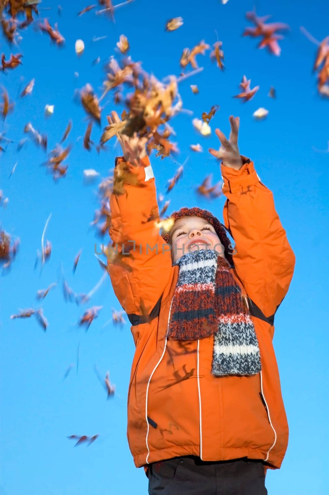 This boy is happy that the autumn has started! He likes to throw with the beautiful colored leaves. Movement in the leaves.
