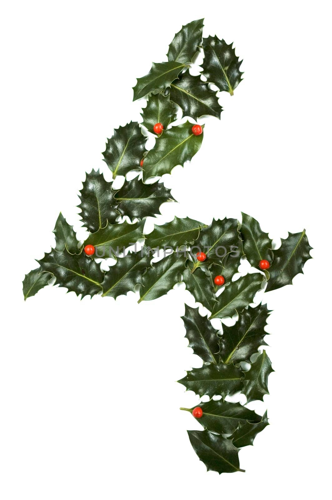 Holly Leaves with berry's in the form of the digit four. Isolated on white.