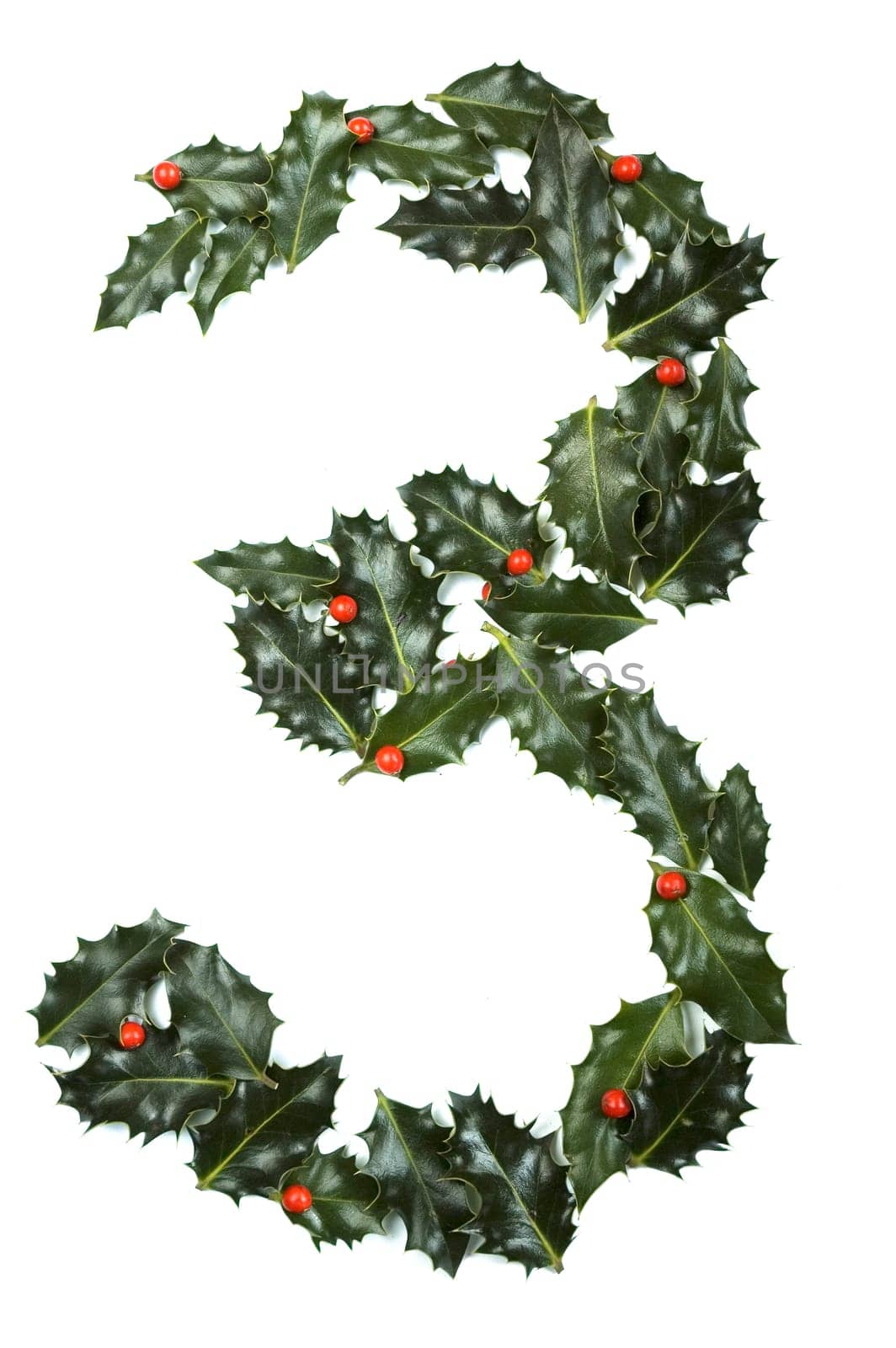 Holly Leaves with berry's in the form of the digit three. Isolated on white.