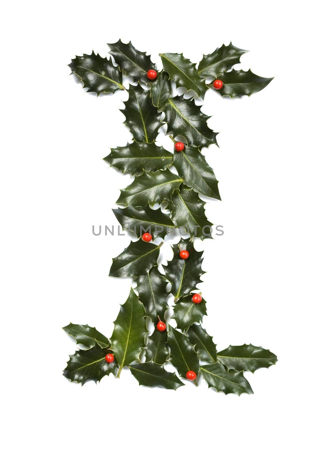 Holly Leaves with berry's in the form of the letter I. Isolated on white.