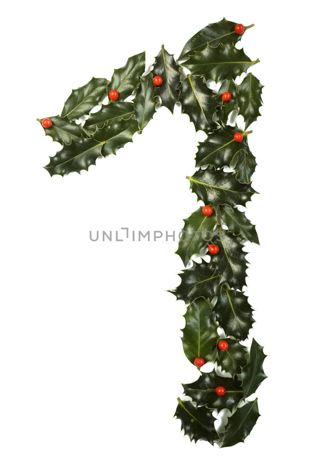 Holly Leaves with berry's in the form of the digit one. Isolated on white.
