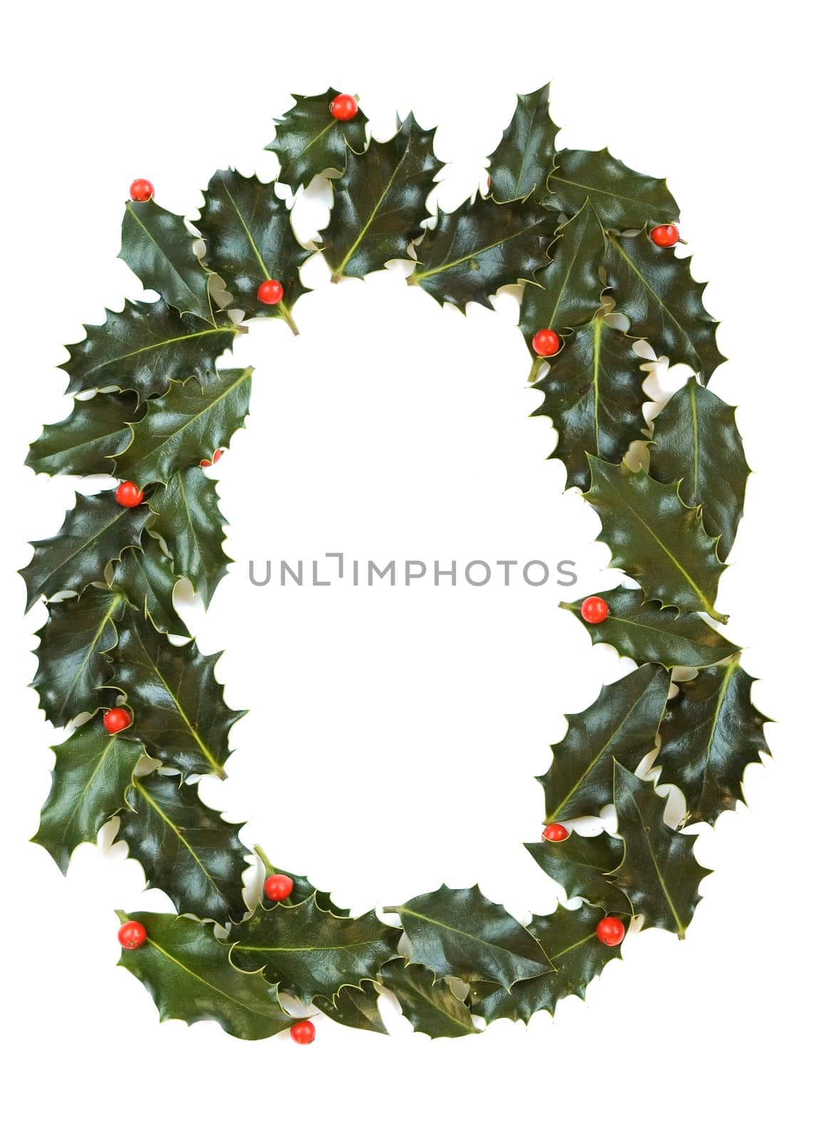 Holly Leaves with berry's in the form of the digit zero. Isolated on white.