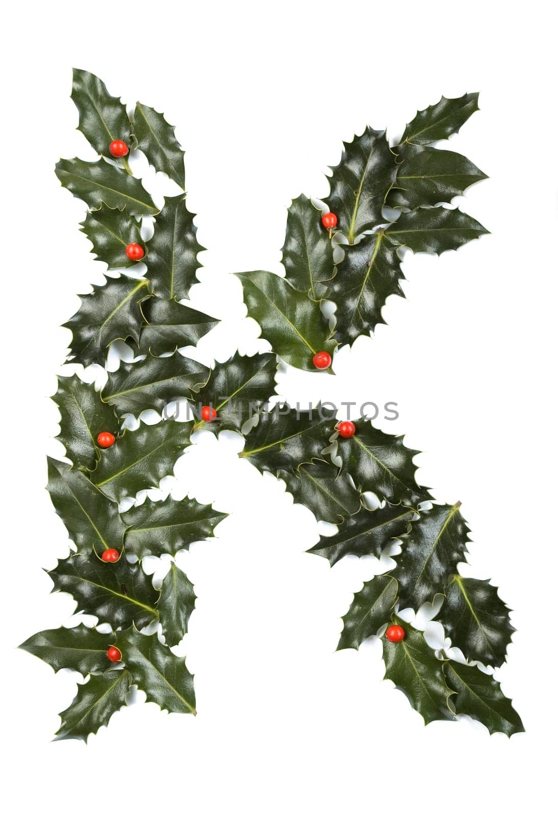 Holly Leaves with berry's in the form of the letter K. Isolated on white.