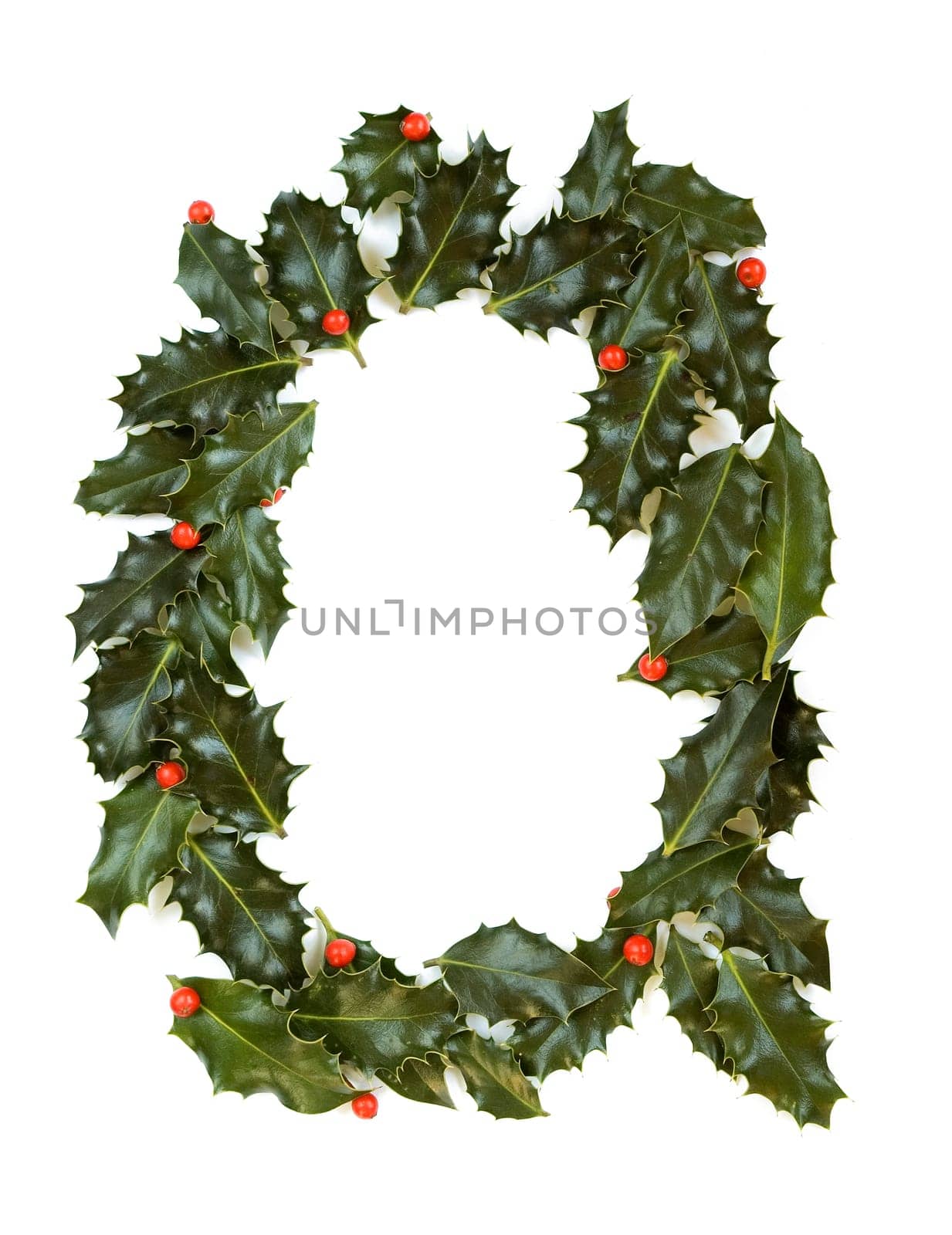 Holly Leaves with berry's in the form of the letter Q. Isolated on white.