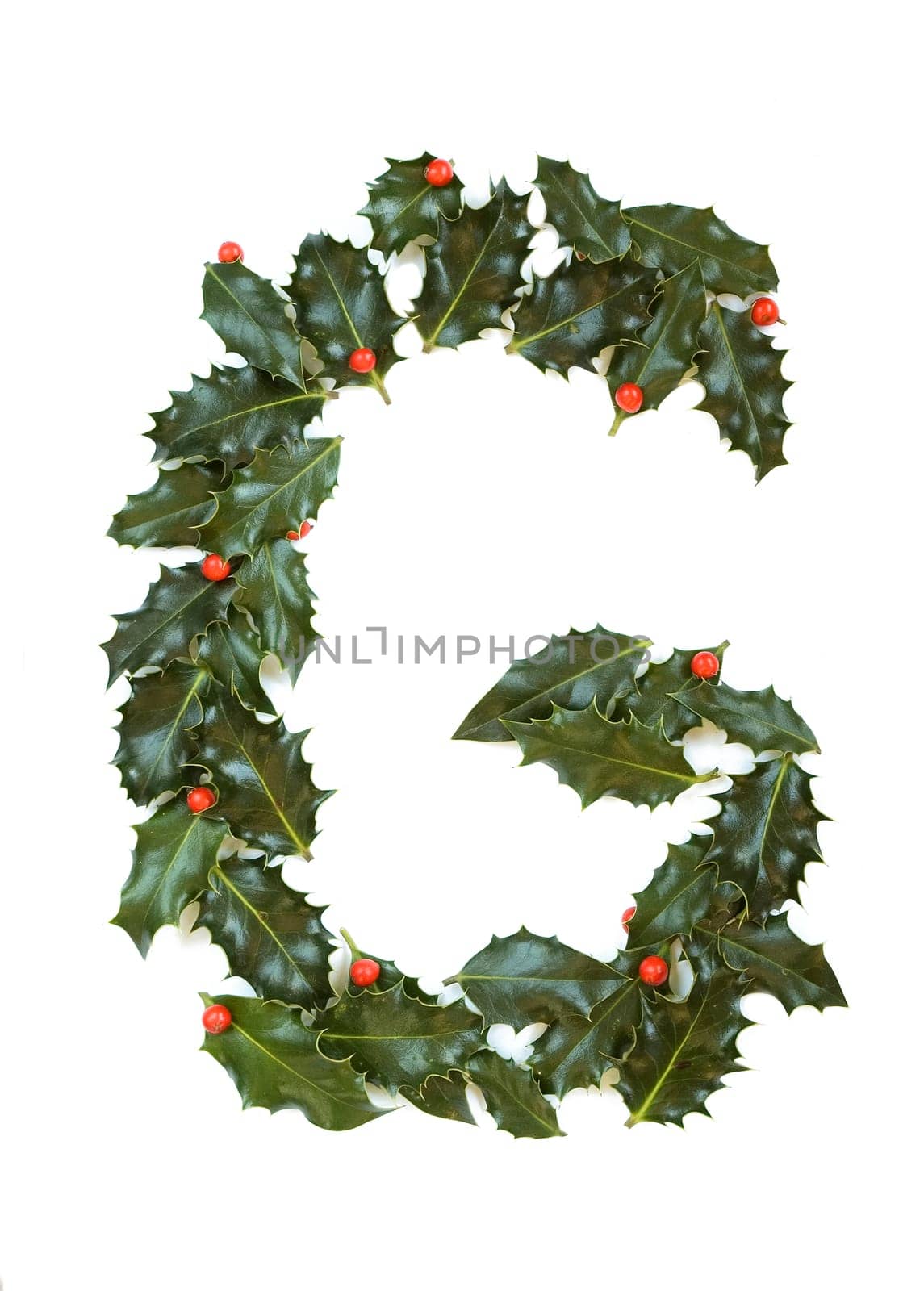 Holly Leaves with berry's in the form of the letter G. Isolated on white.