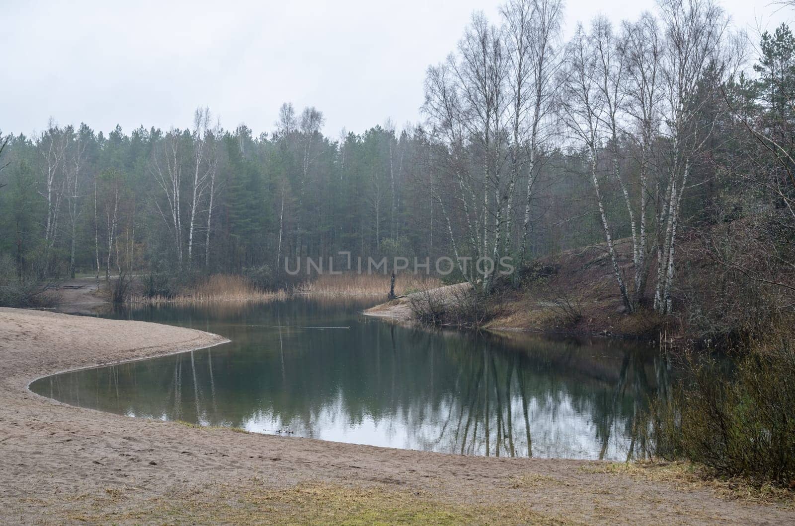 Foggy spring landscape in the forest lake