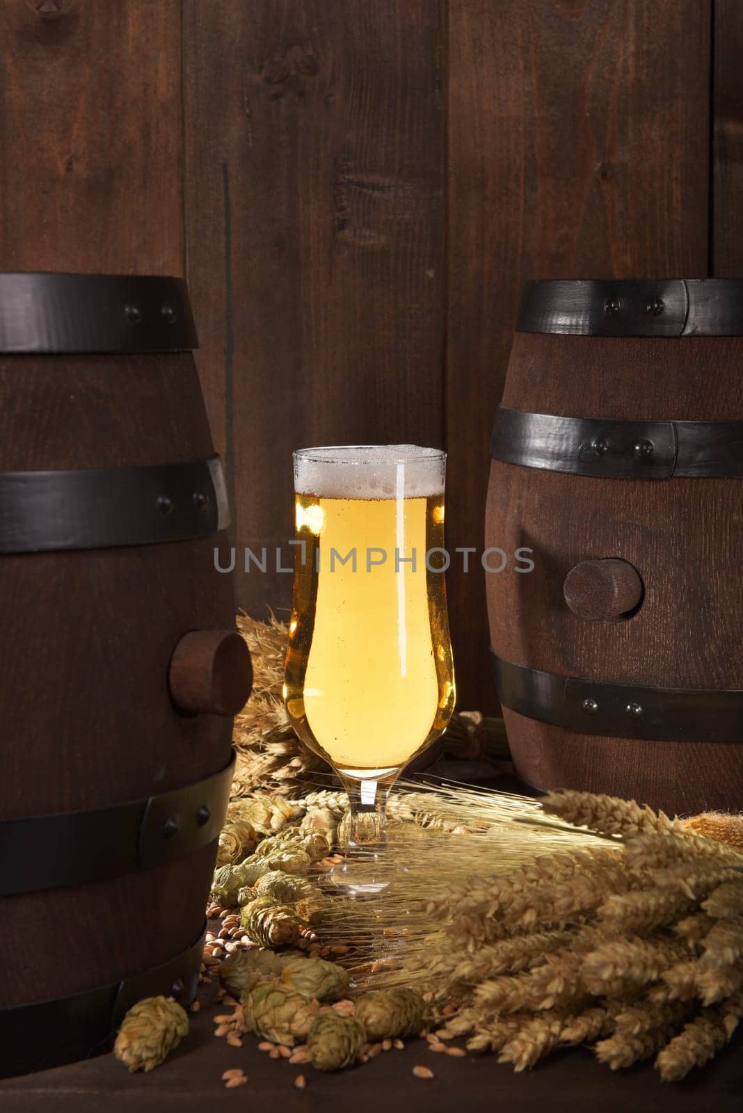 Beer glass with beer barrels,wheat,barley,hops and malt