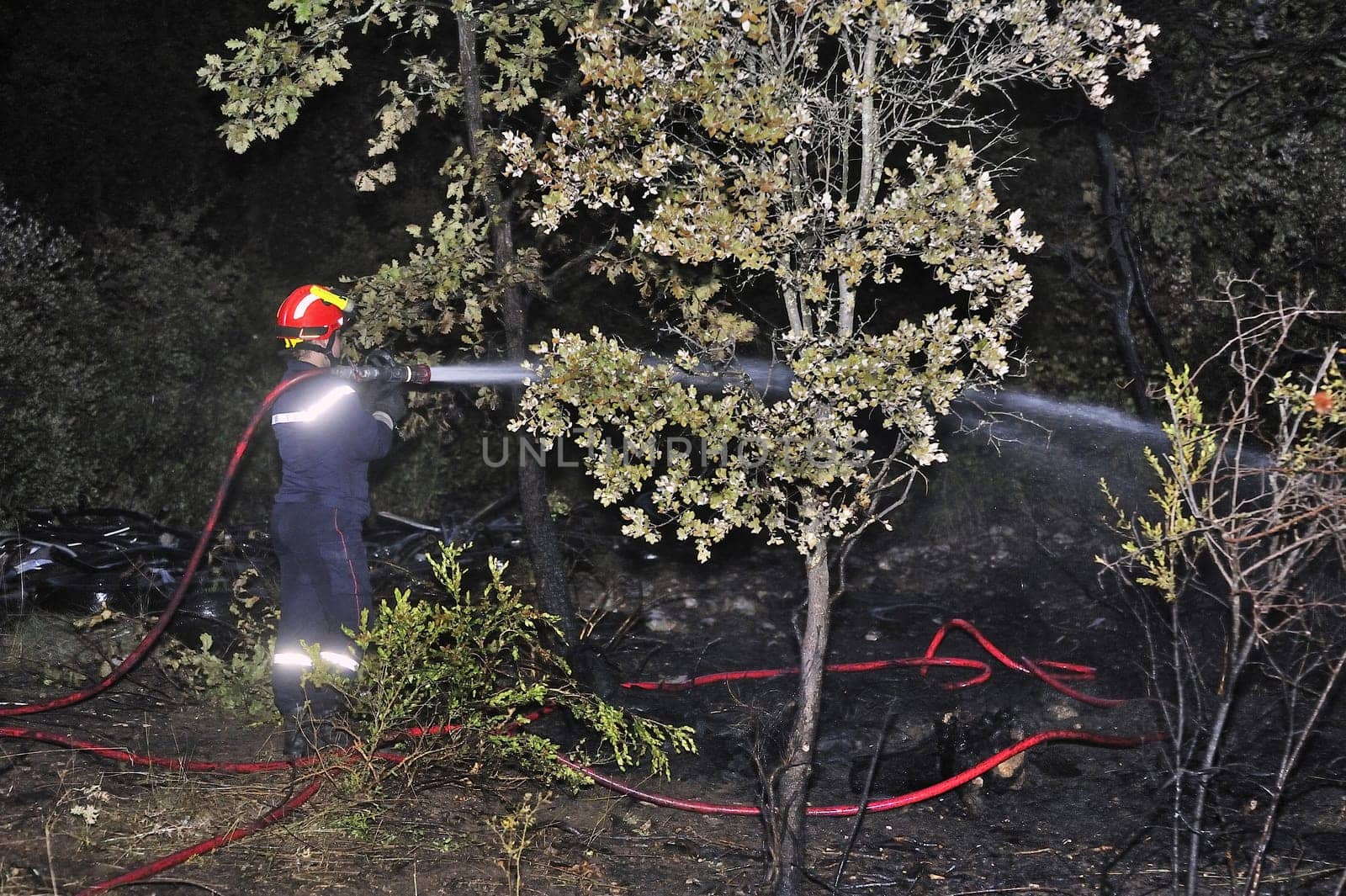Firefighter in the French Gard department extinguished the last flames of a forest fire