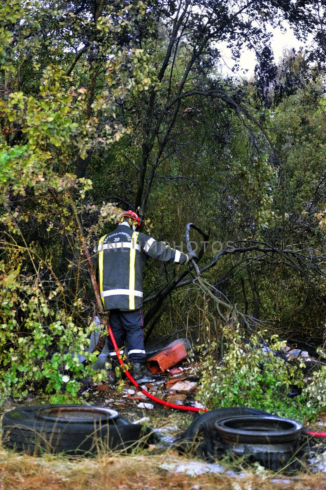 Firefighter in the French Gard department extinguished the last flames of a forest fire