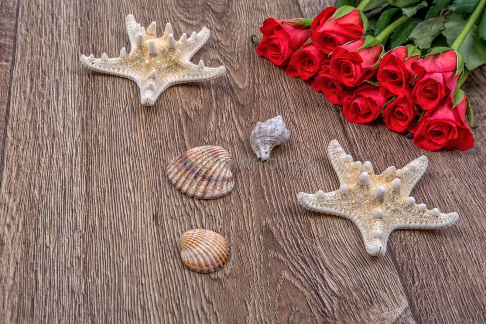 White starfishes, shells and red roses on a wooden background