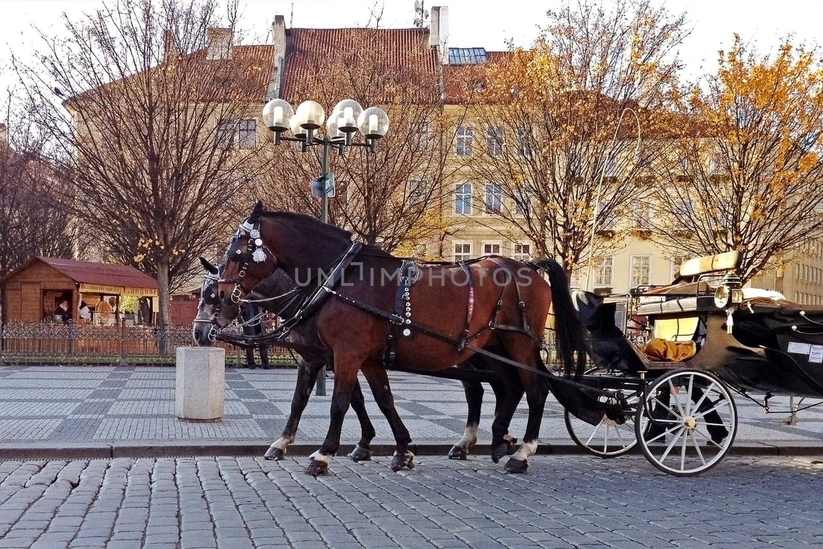 Horses carriage in Old Town Square,Prague.