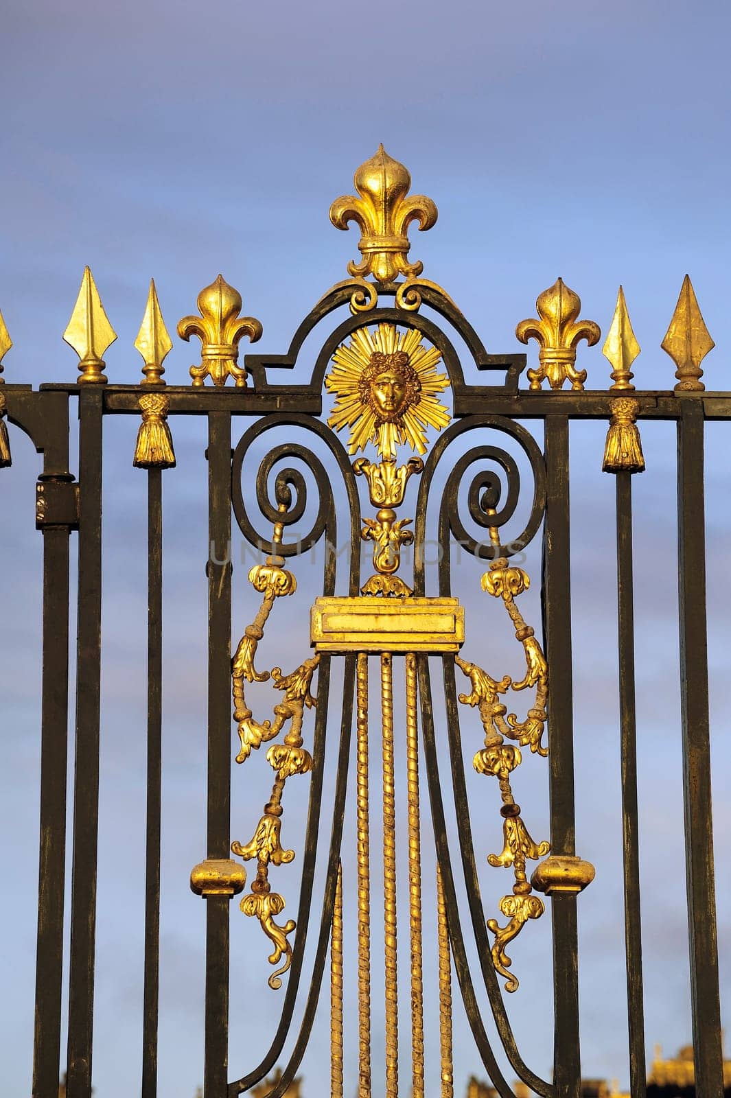 Grids input castle of Versailles