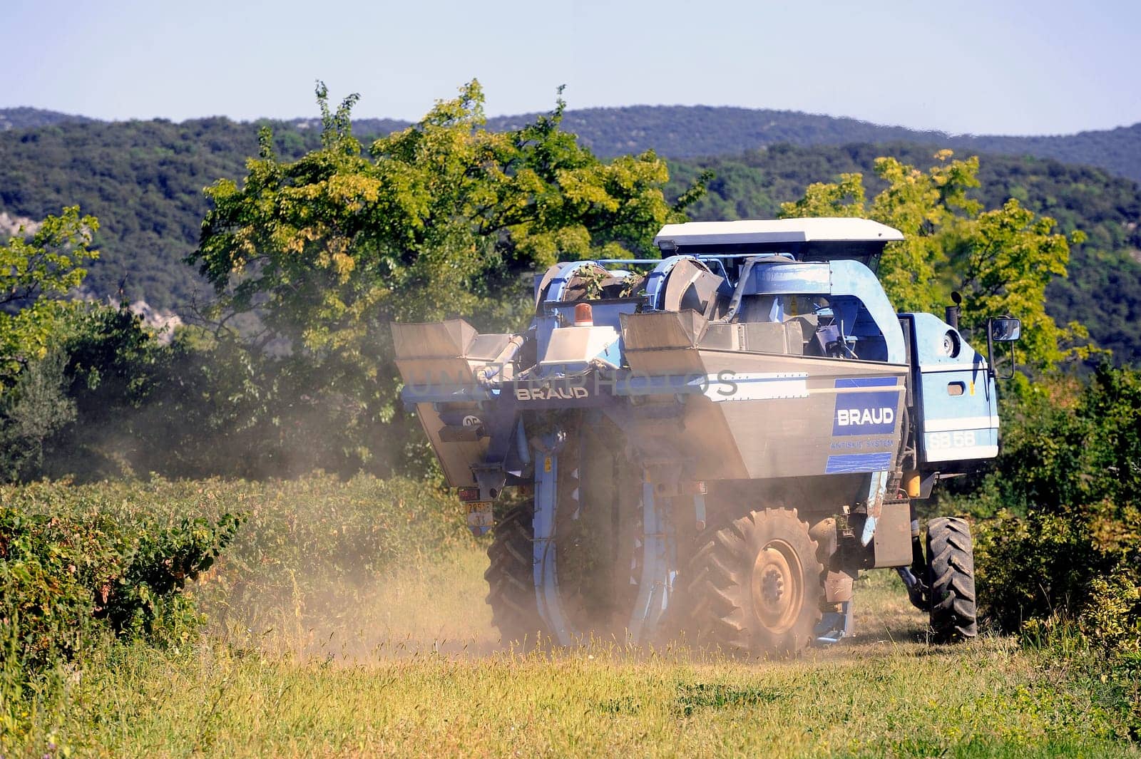 The harvest with machines to harvest the grapes in France in the department of Gard.