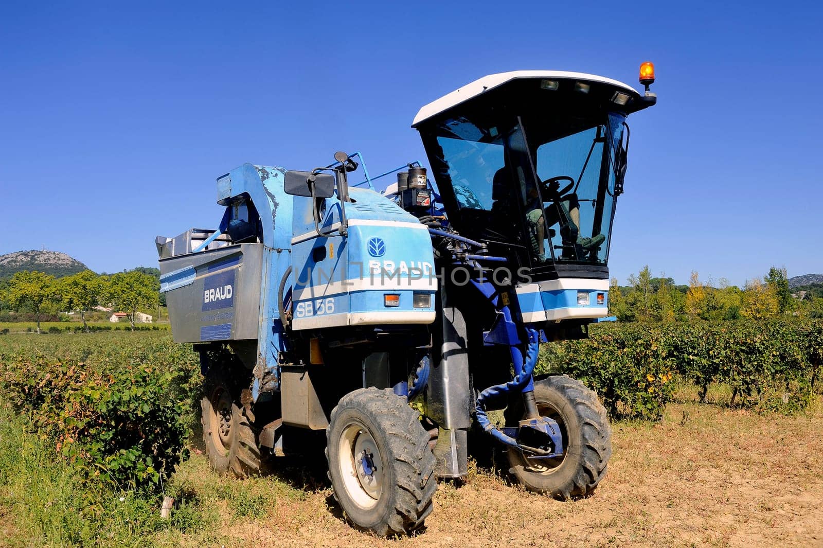 The harvest with machines to harvest the grapes in France in the department of Gard.