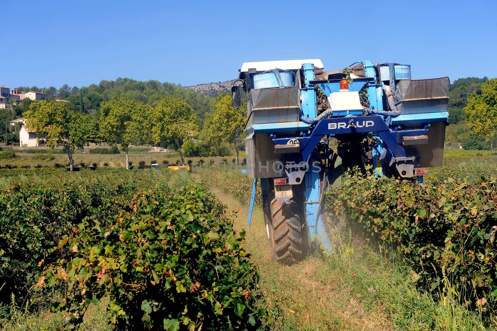 The harvest with machines to harvest the grapes in France in the department of Gard.