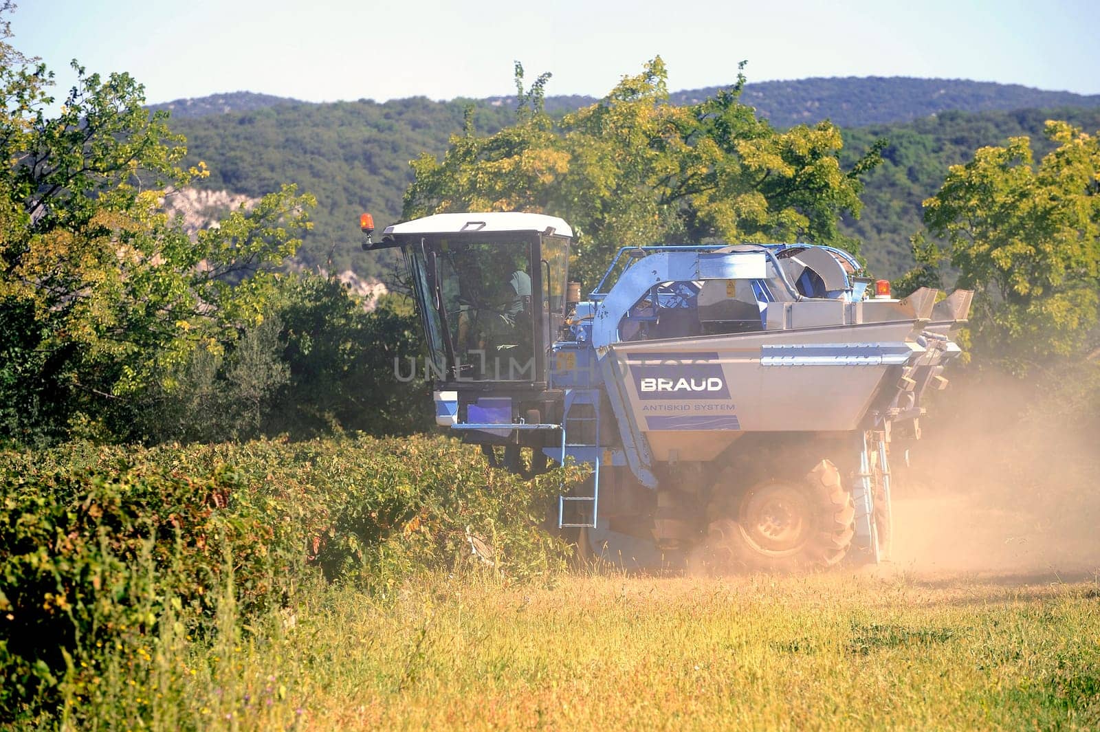 The harvest with machines to harvest the grapes in France in the department of Gard.