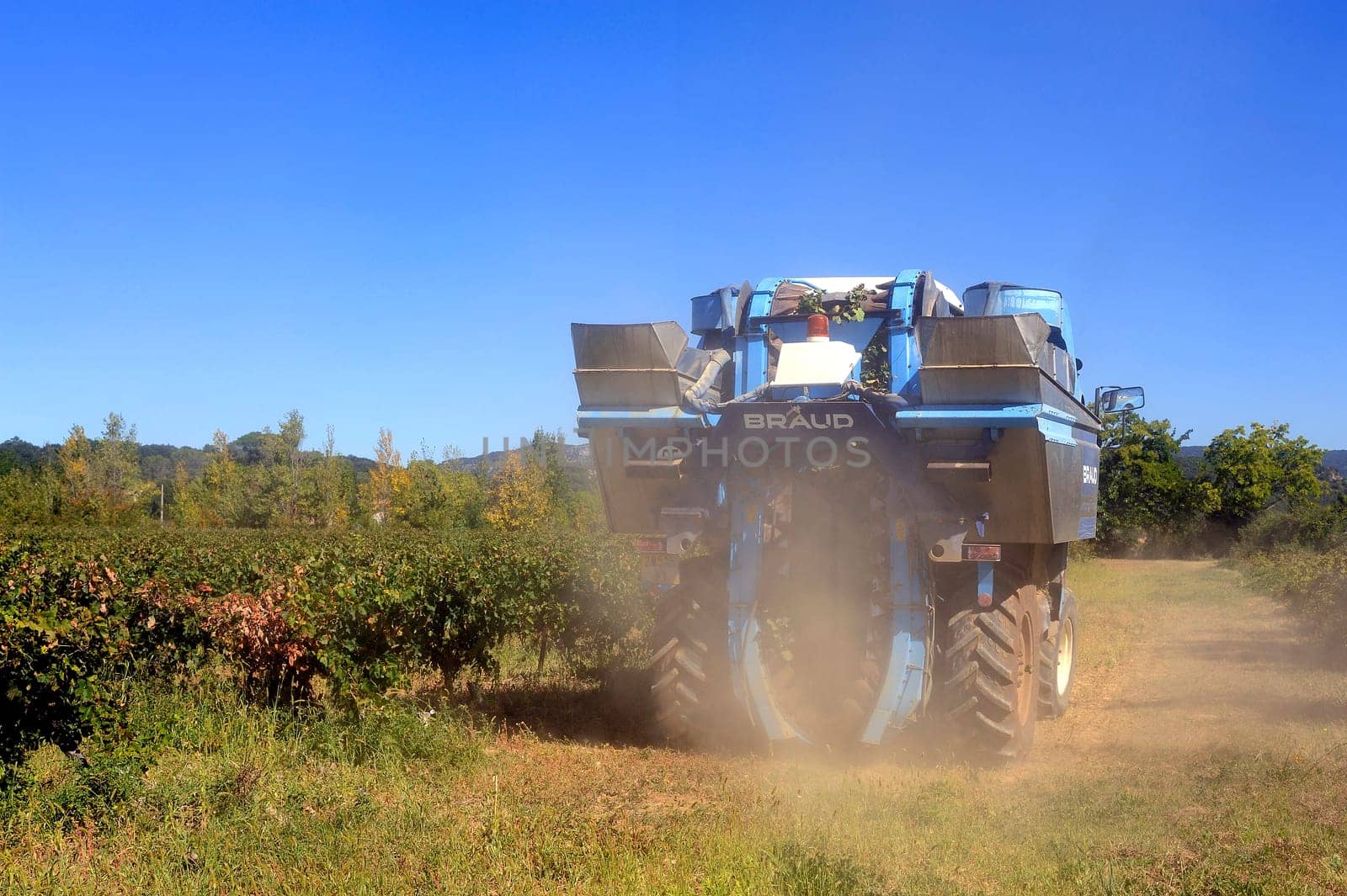 The harvest with machines to harvest the grapes in France in the department of Gard.