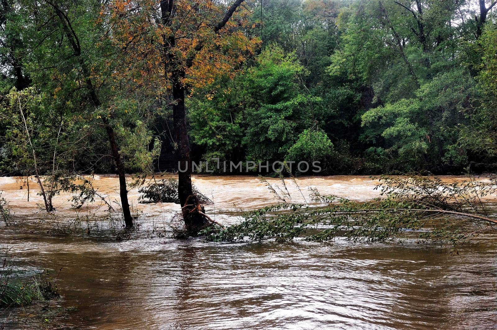 The Vidourle river in flood after heavy rains in France located in the Gard department in the foothills of the Cevennes.