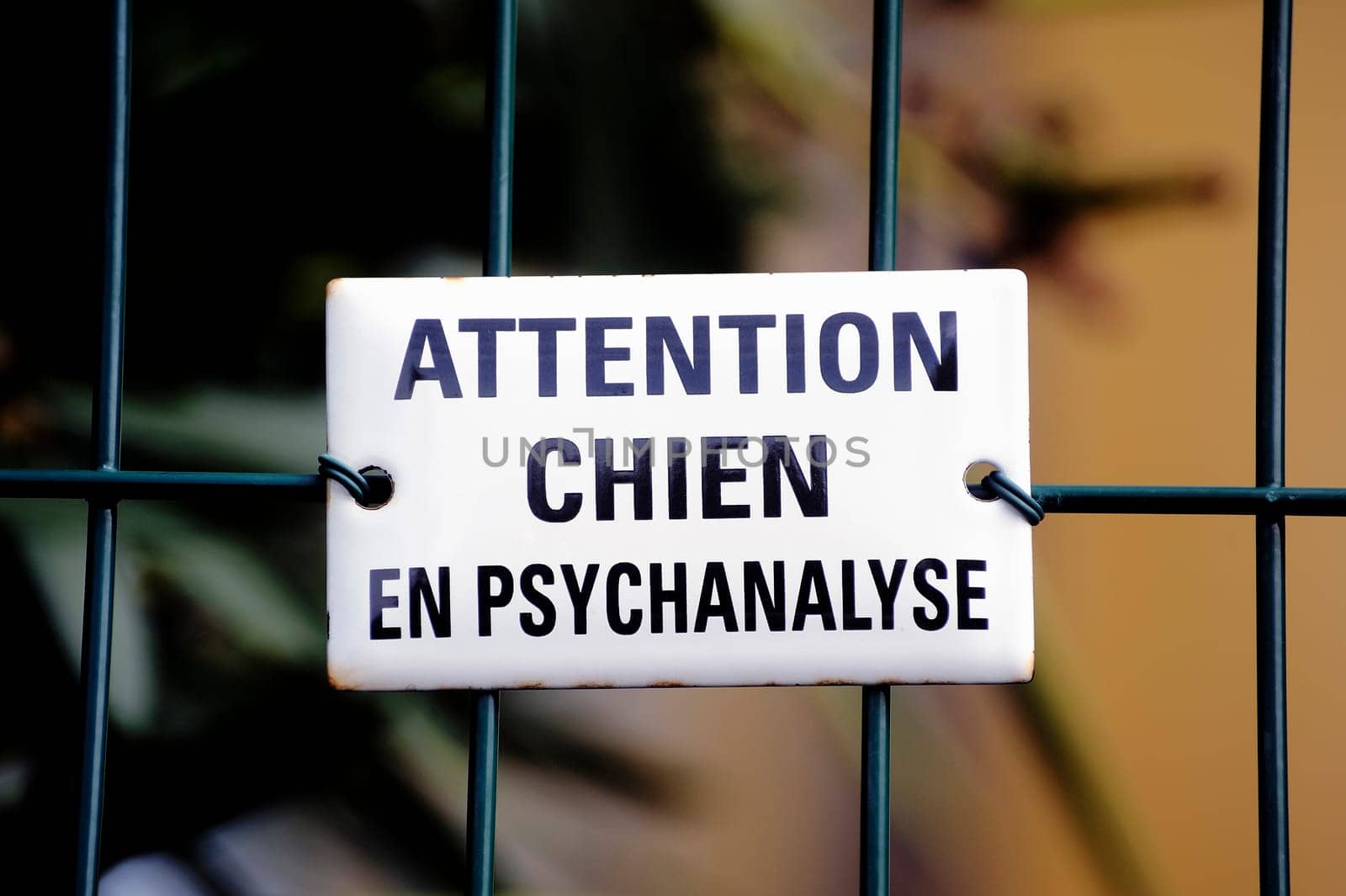 Warning! dog in psychoanalysis, even stronger than vicious dog.