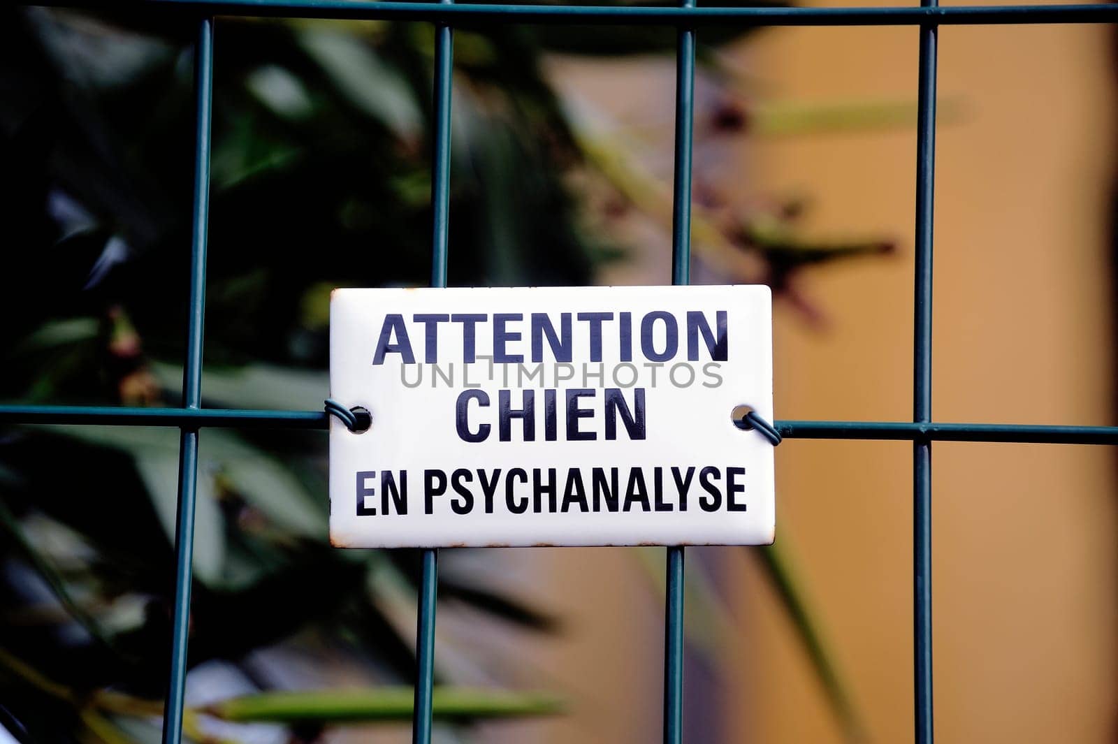 Warning! dog in psychoanalysis, even stronger than vicious dog.