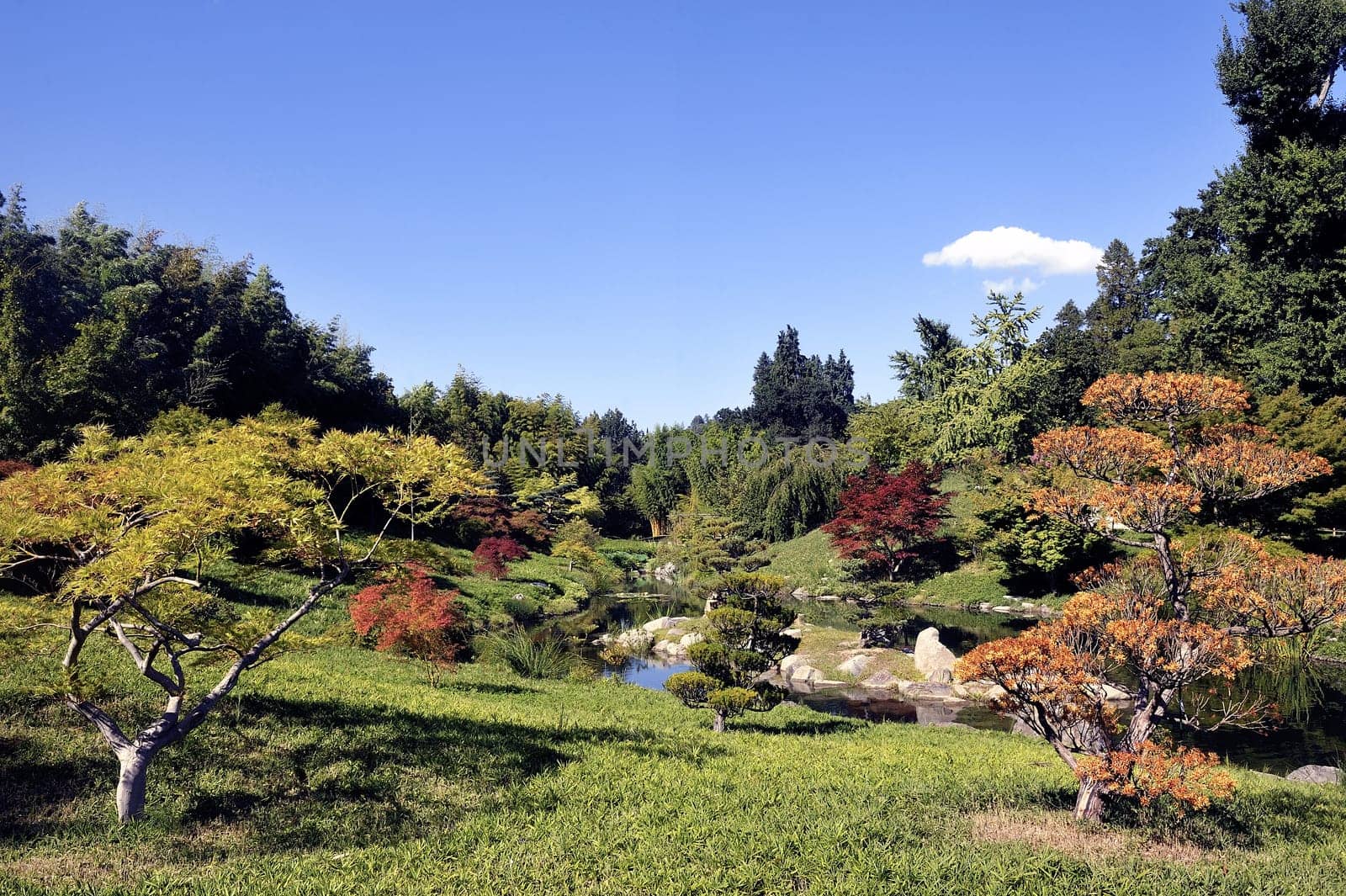 Japanese Garden Park Anduze bamboo where almost all species are represented and promoted in an Asian garden