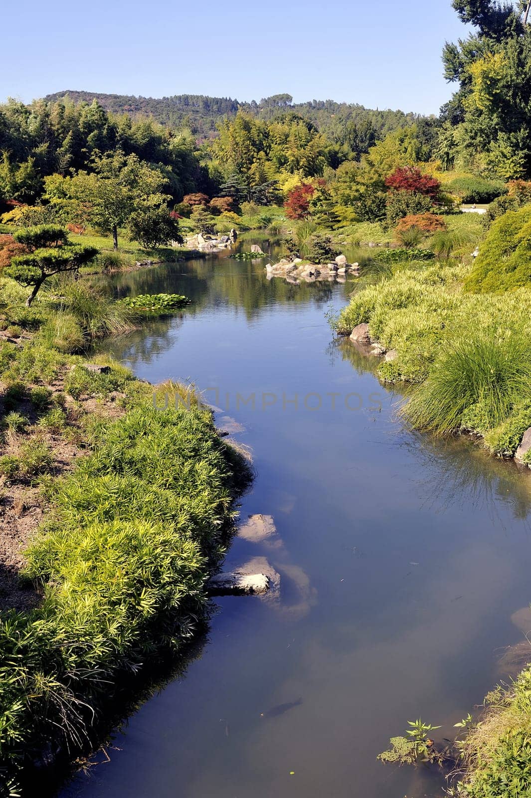 Japanese Garden Park Anduze bamboo where almost all species are represented and promoted in an Asian garden
