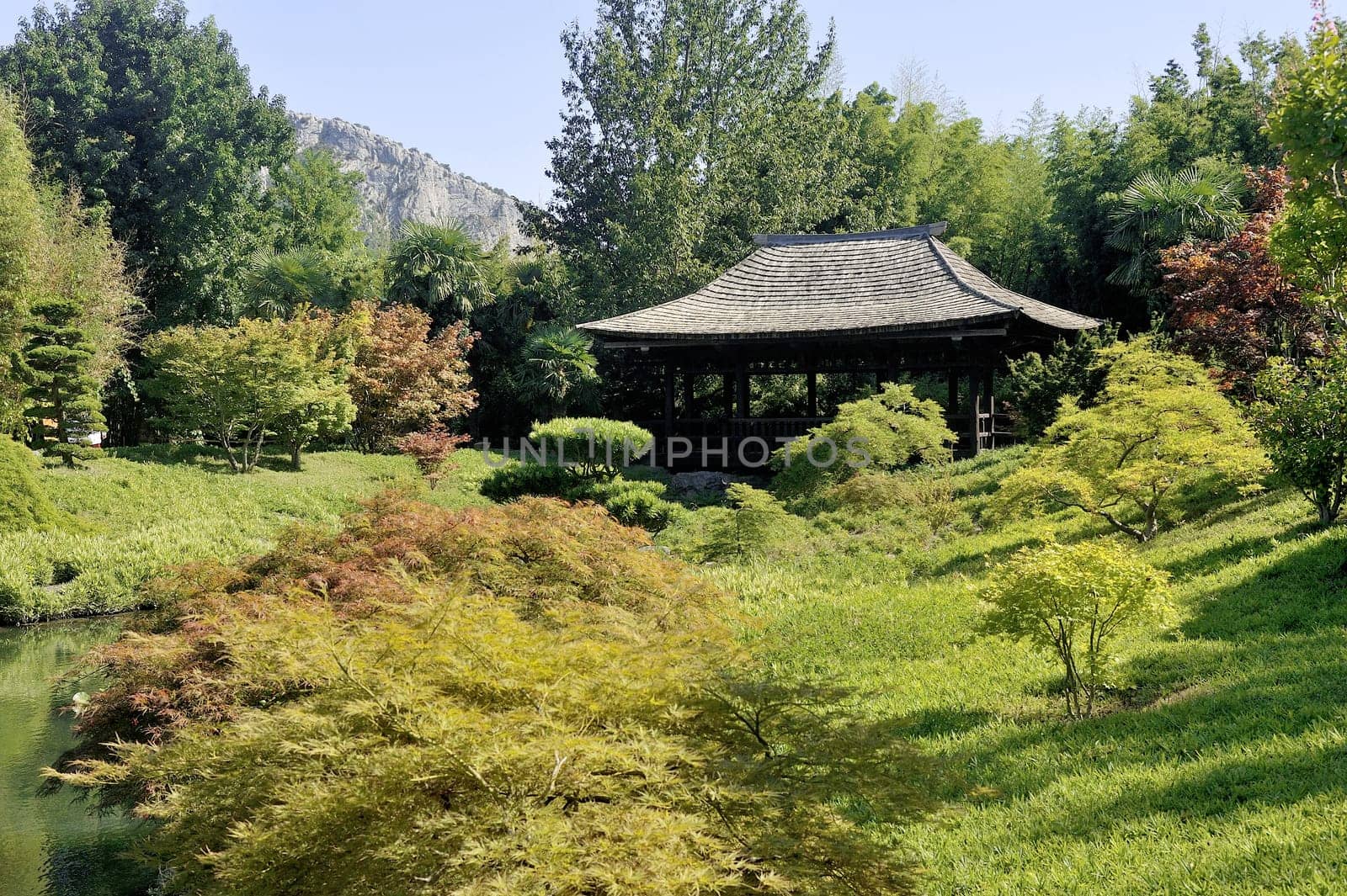 Japanese Garden Park Anduze bamboo where almost all species are represented and promoted in an Asian garden