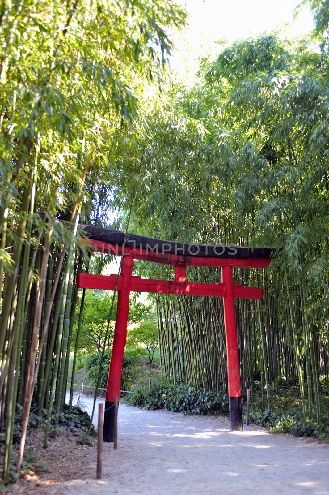 gate of the Japanese garden entrance in park Anduze bamboo where almost all species are represented and promoted in an Asian garden