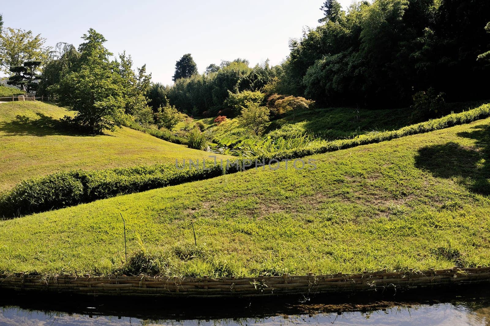 Japanese Garden Park Anduze bamboo where almost all species are represented and promoted in an Asian garden
