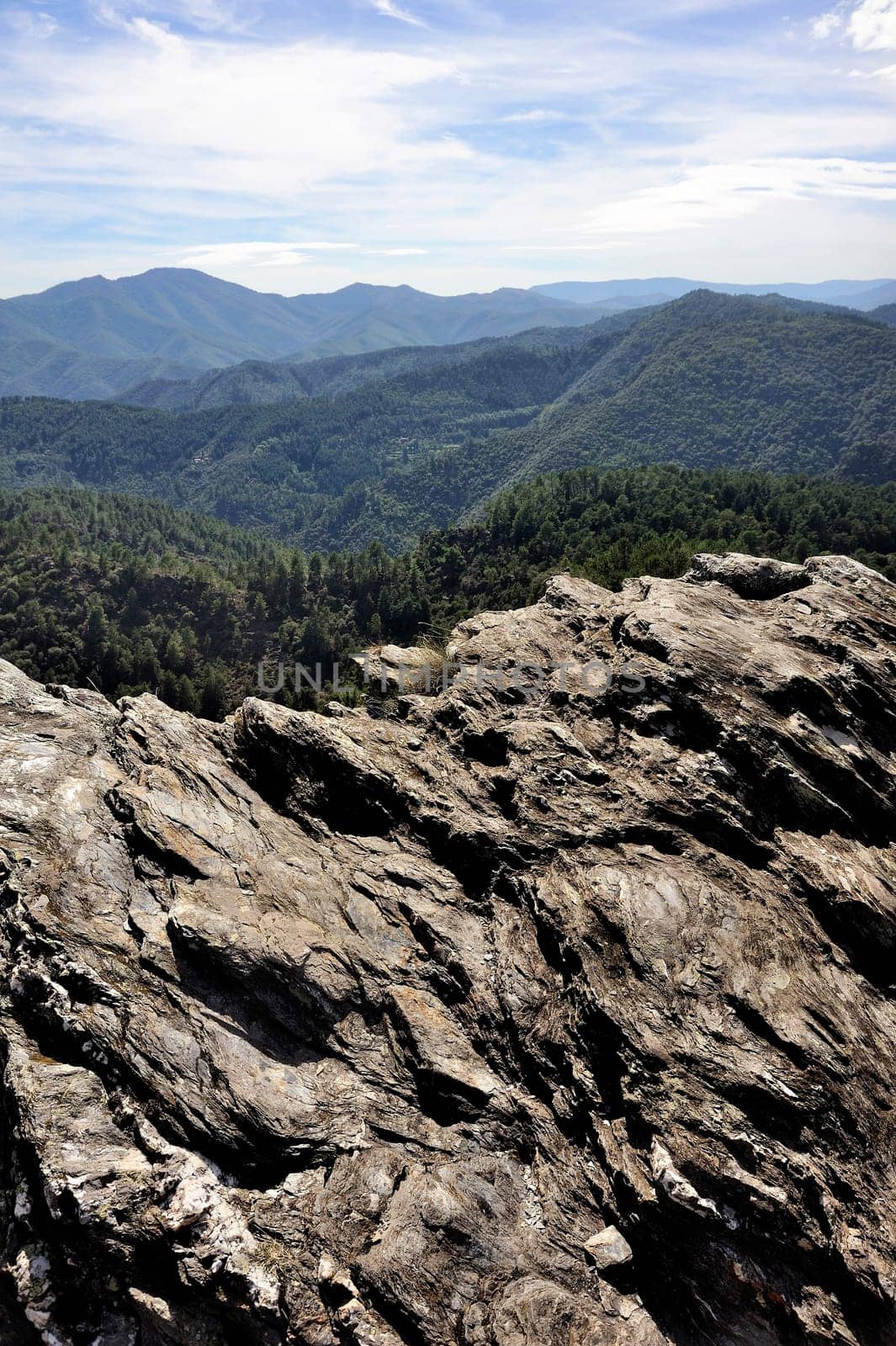 Nature in the mountains of the Cevennes on the edge of Gard and Lozere in south-eastern France.