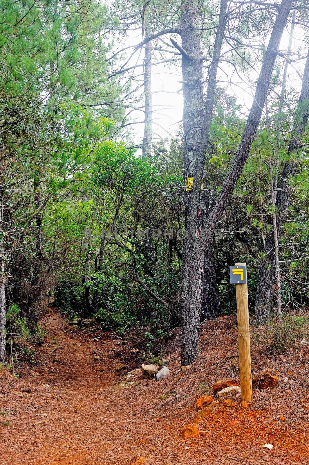 Sign indicating the direction to follow a trail for hikers