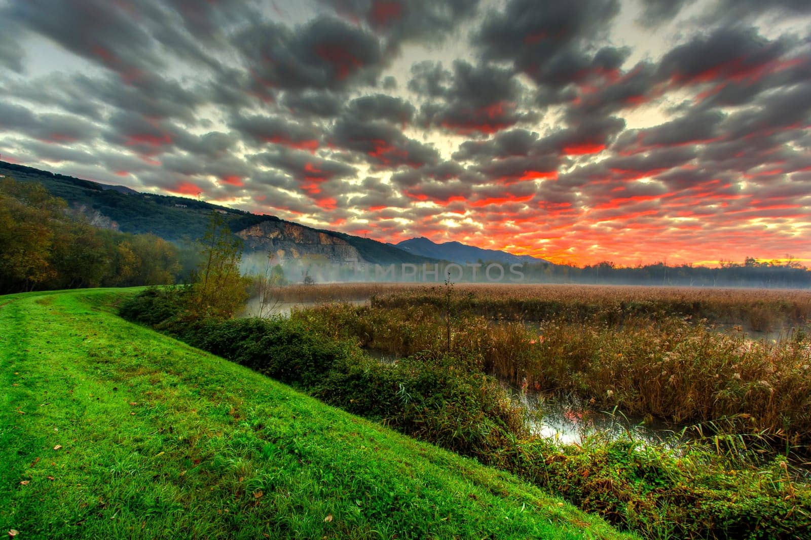 View of a portion of the swamp with the path at dawn