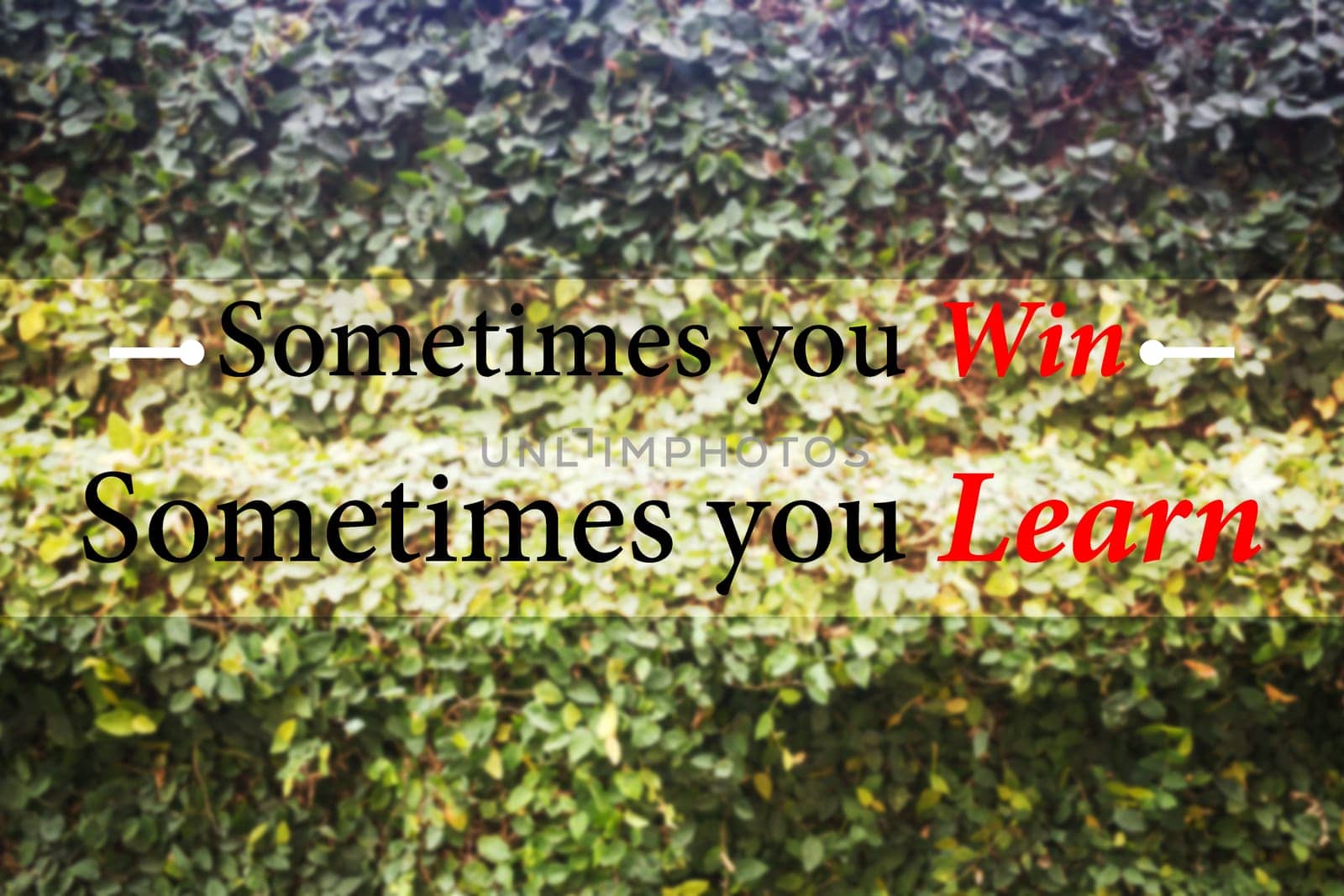 Win and learn inspiration message on blur green plant wall