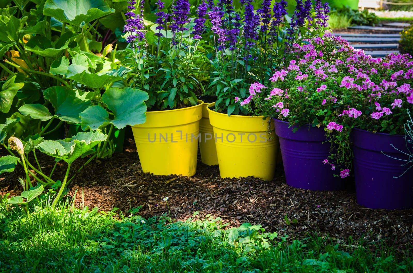 Beautiful flowers pots stand in the garden, close-up