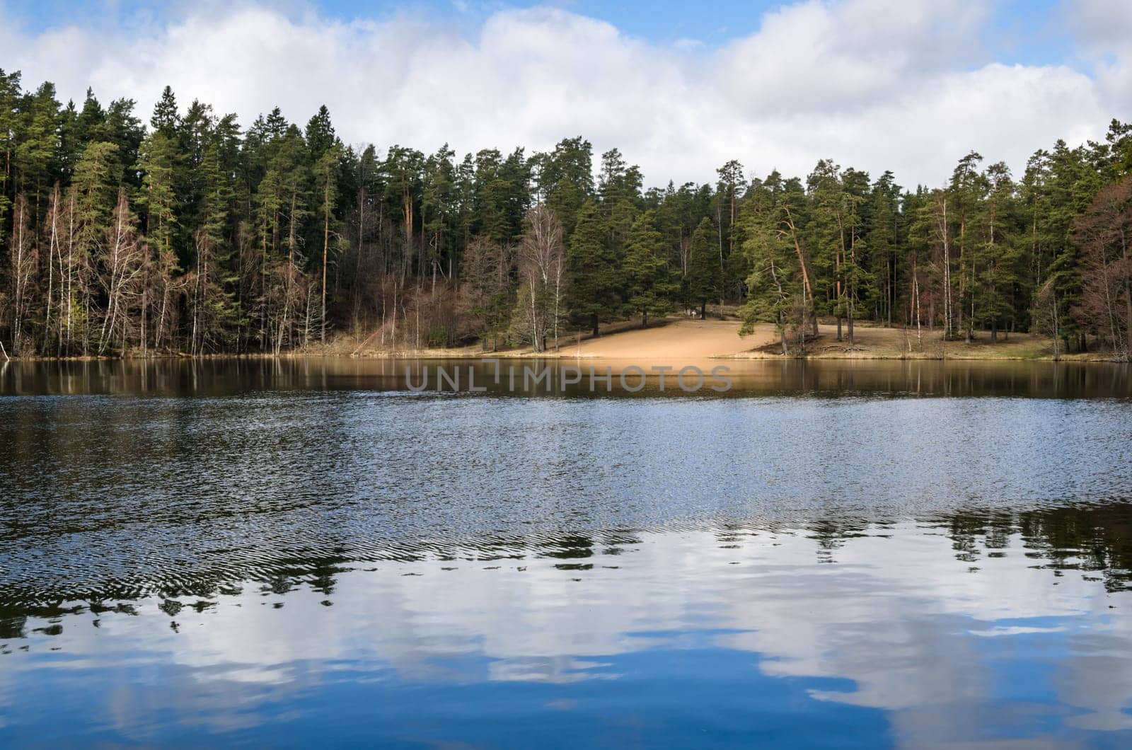 Spring landscape at wood lake