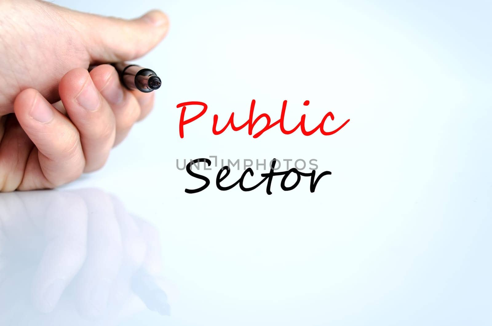 Public sector text concept isolated over white background