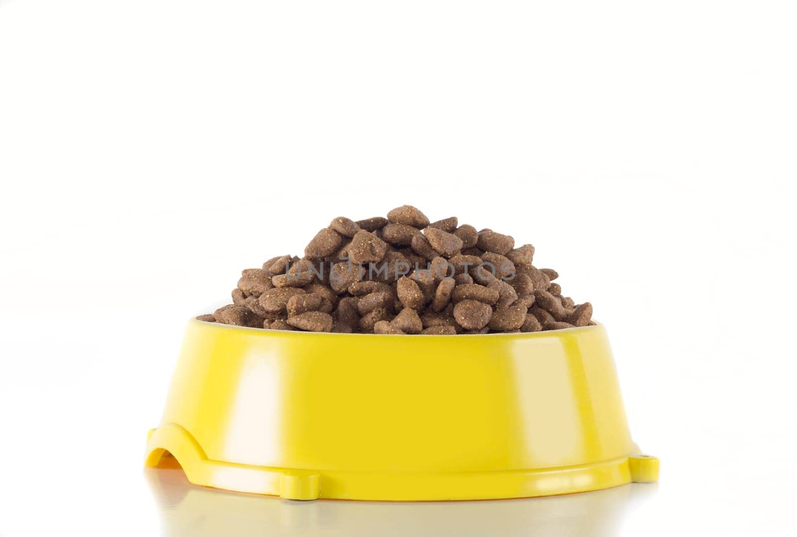 Dog food in yellow bowl, isolated on white studio background