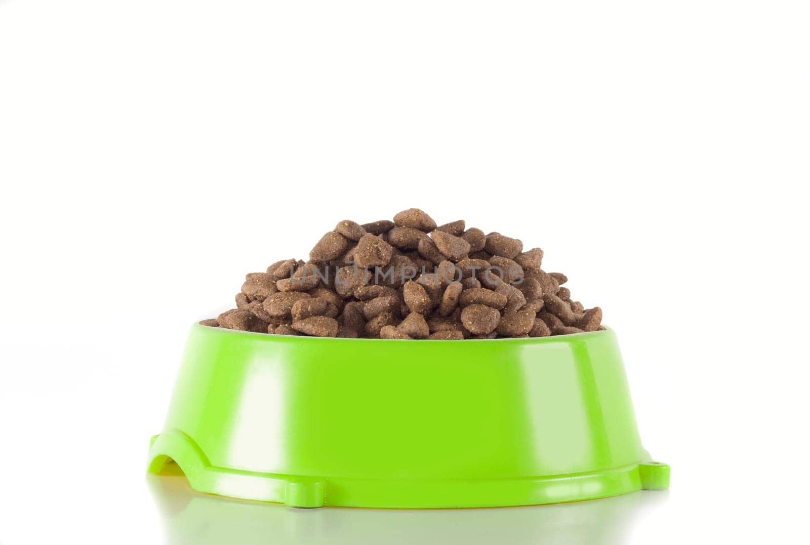 Dog food in light green bowl, isolated on white studio background