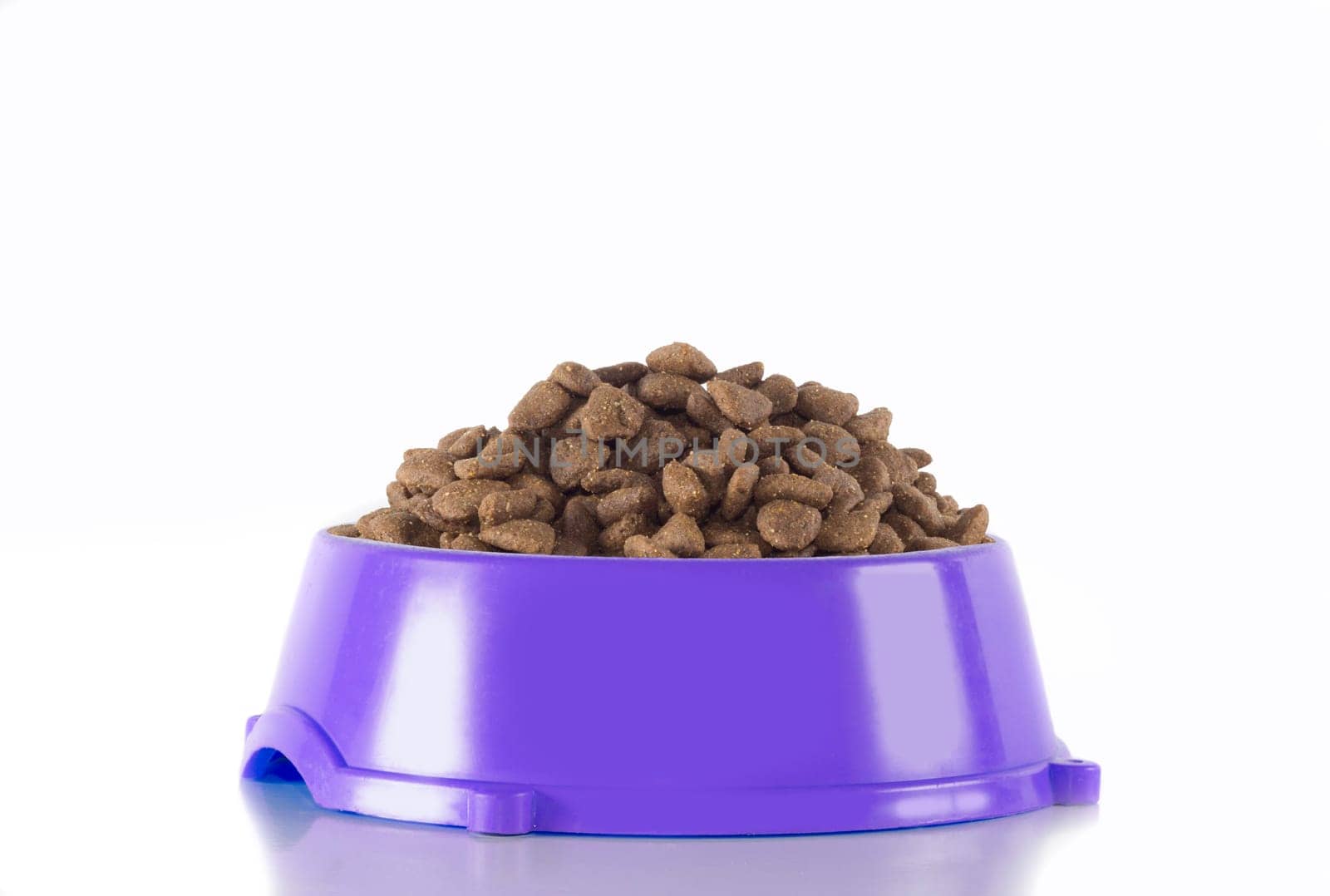 Dog food in purple bowl, white studio background