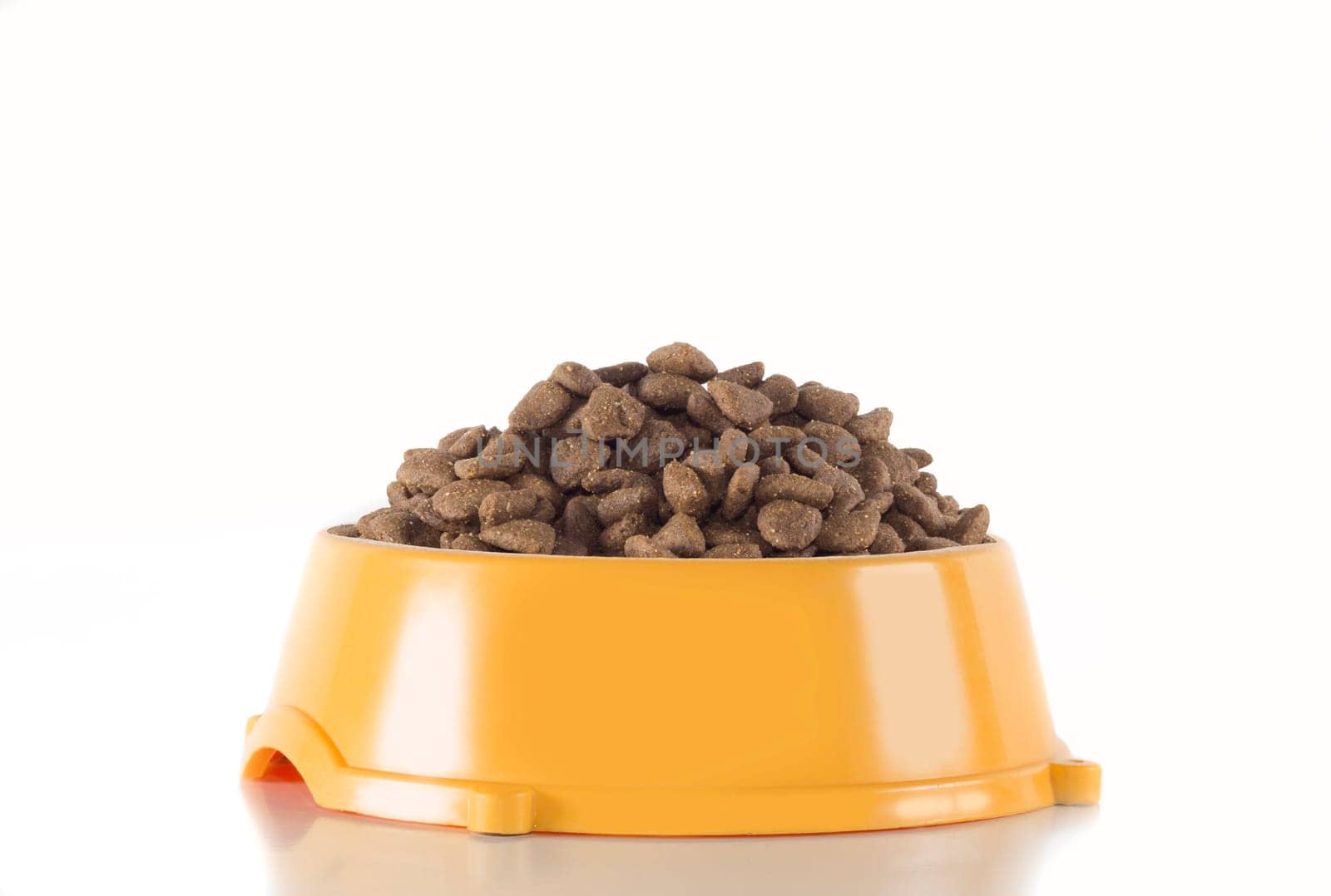 Dog food in orange bowl, isolated on white studio background