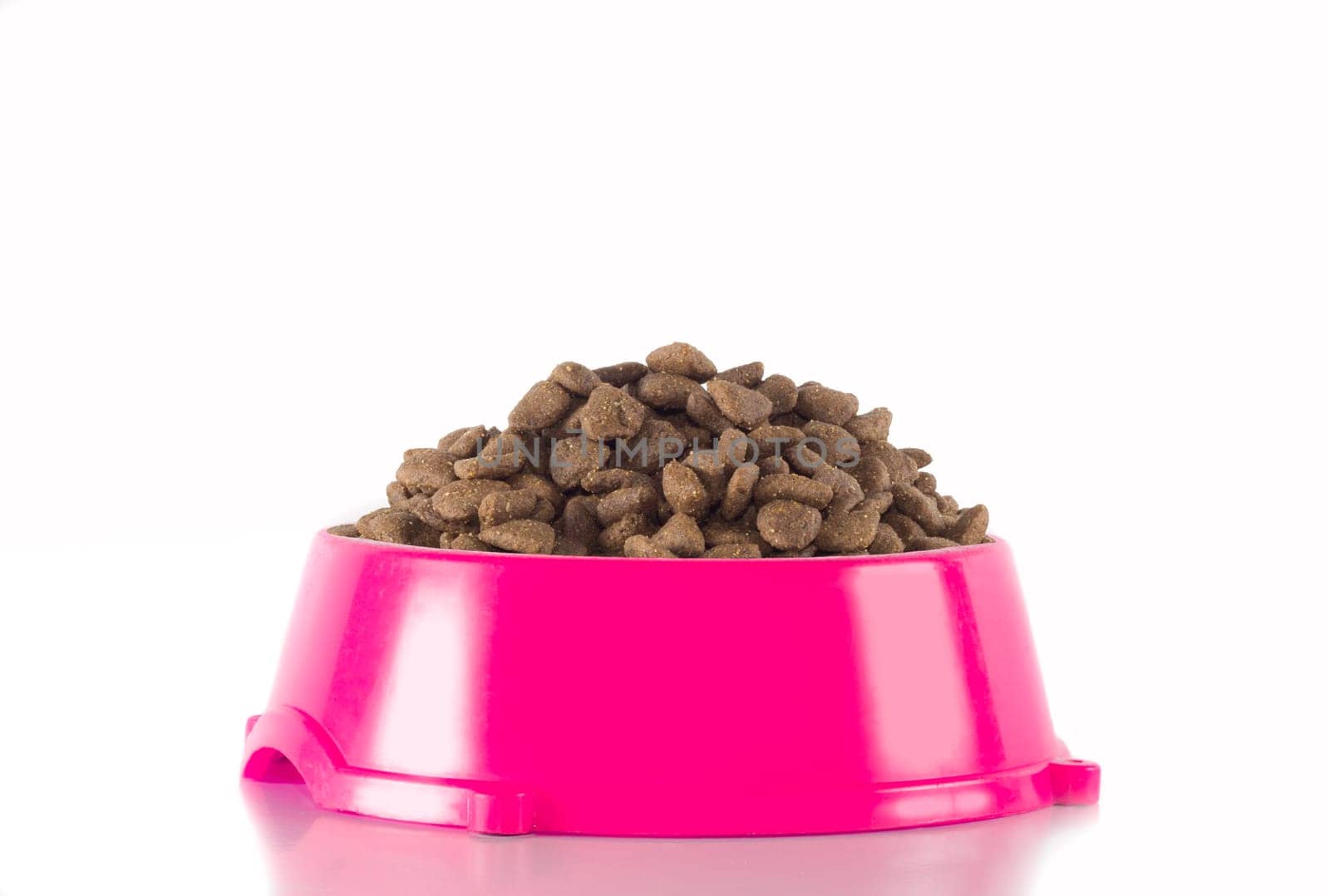 Dog food in pink bowl, white studio background