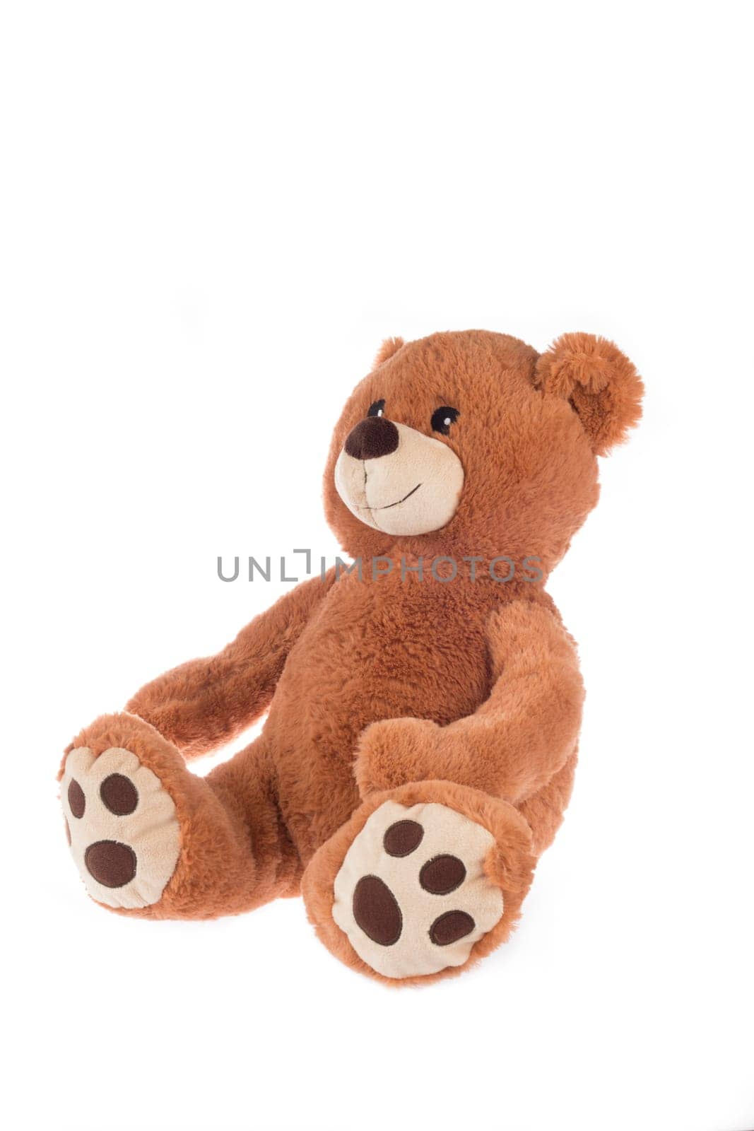 Brown teddy bear, isolated on white background