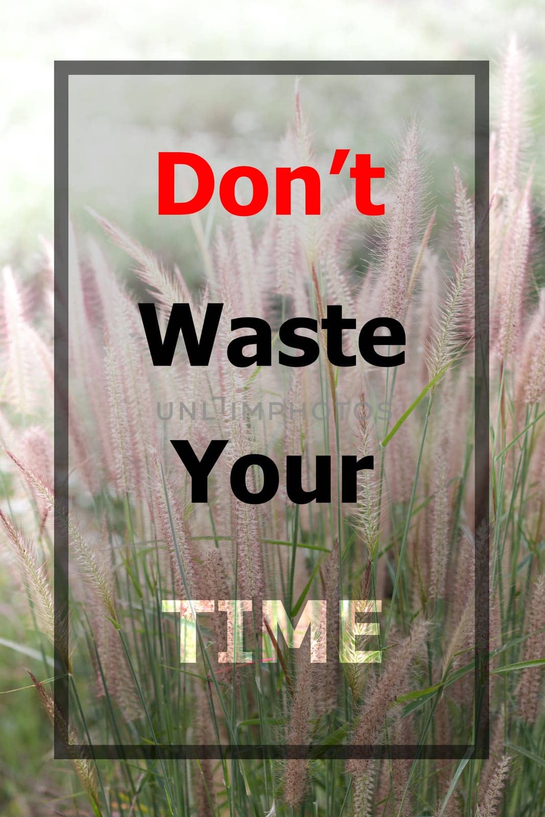 Inspiraional quote of don't waste your time on field of grass