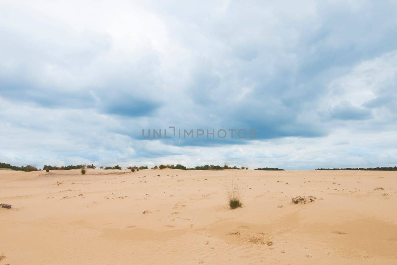 Cloudy blue sky above camel colored sand dunes