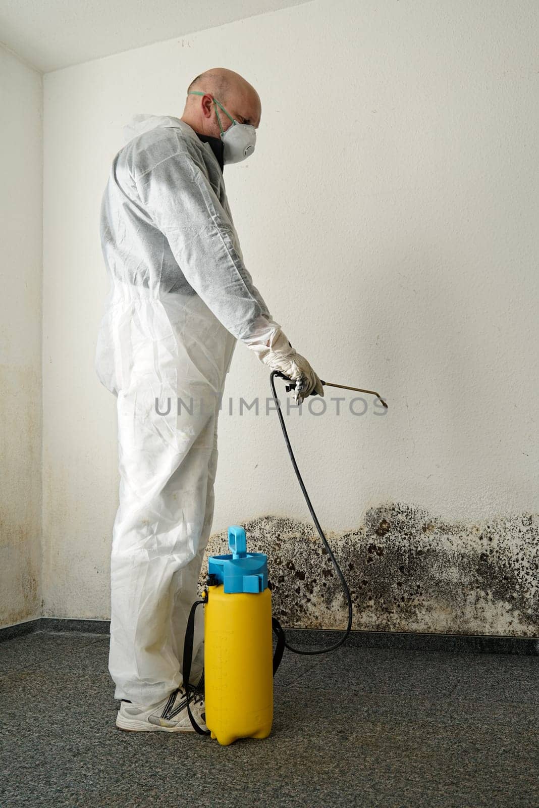 Specialist in the control of mould in an apartment