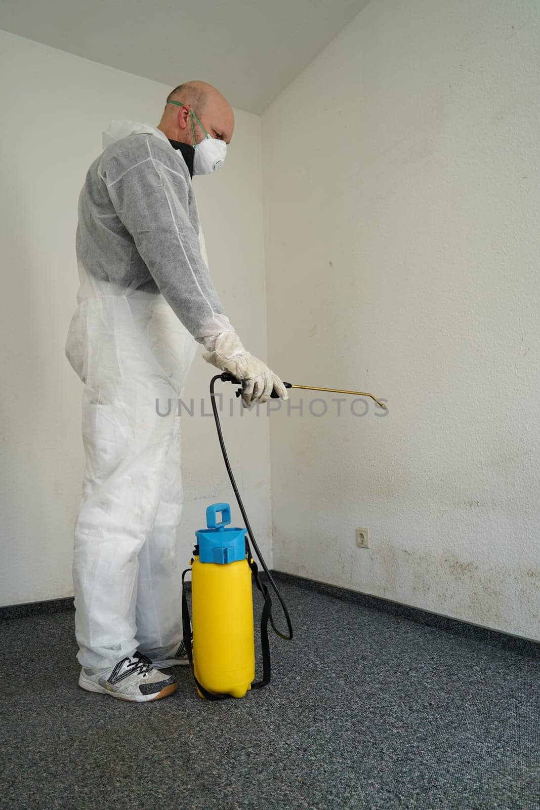 Specialist in the control of mould in an apartment
