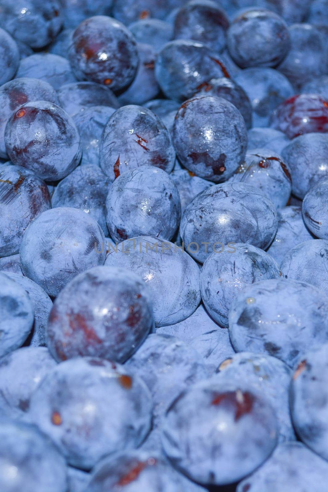 Closeup of picked plums