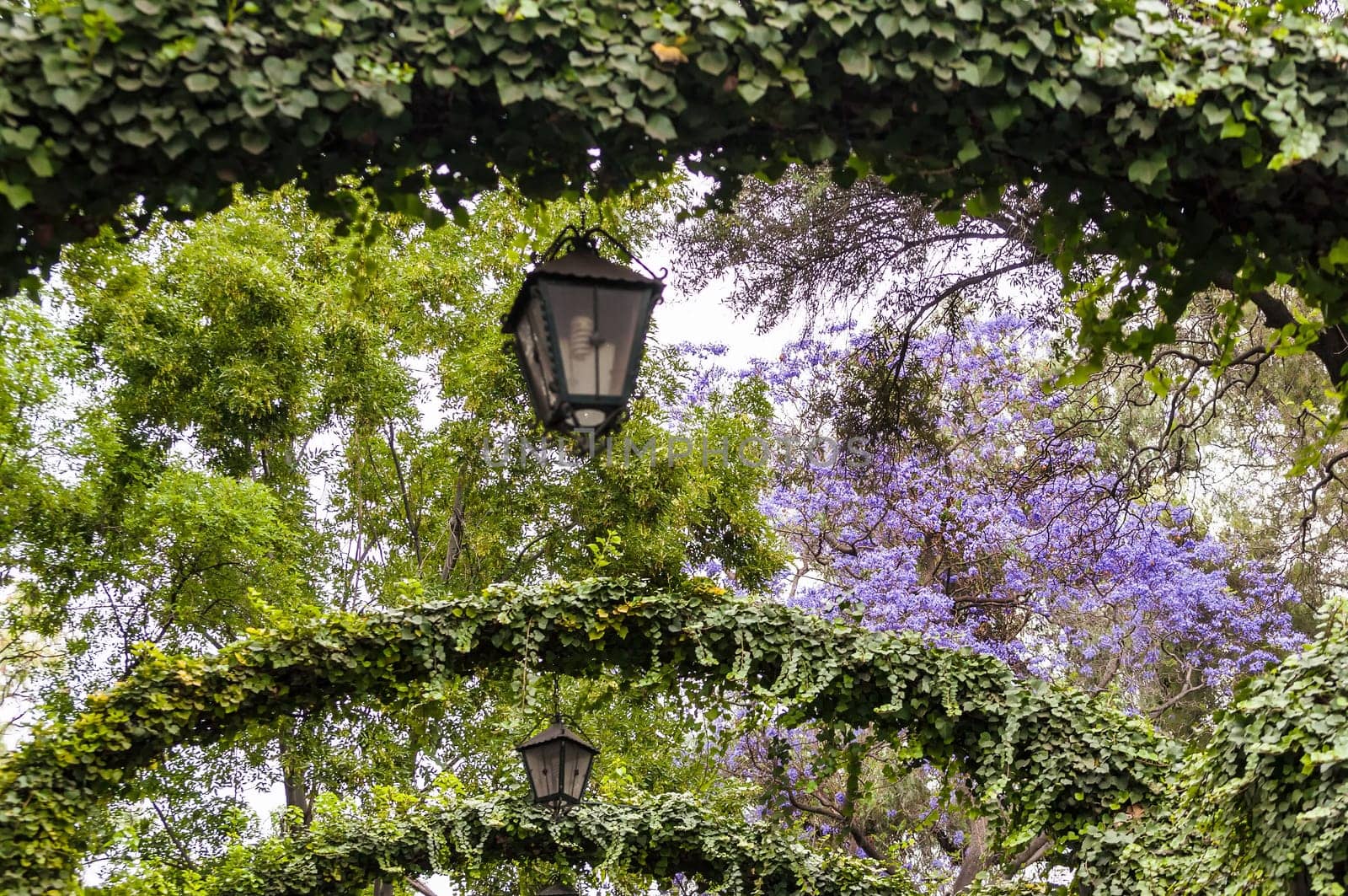 Lush green gardens on Tepeyac Hill in Mexico City