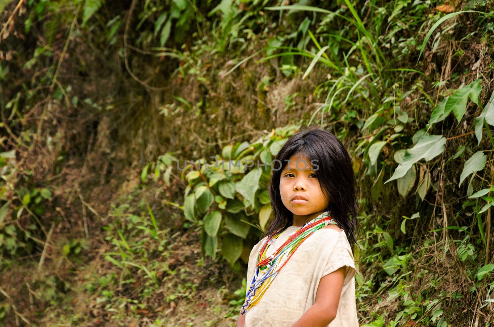 MAGDALENA, COLOMBIA - FEBRUARY 3