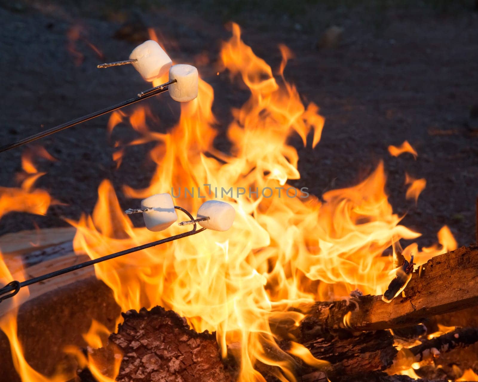 Camping food marshmallow